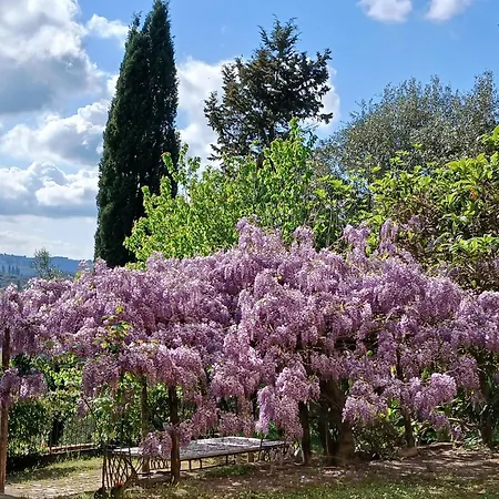 Farm stay Gorgognano Certaldo